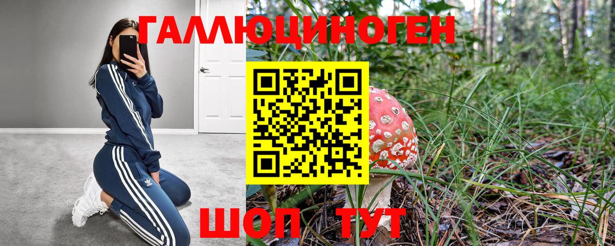 Муравленко  Псилоцибиновые грибы прущие грибы  купить наркотики сайты  Вход с VPN 
